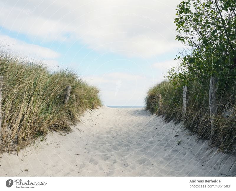Schöner Weg zum Strand an einem leicht bewölkten Frühlingstag Deutschland Hintergrund baltisch Strandrasen schön blau Brise Küste wüst trocknen Düne Dunes