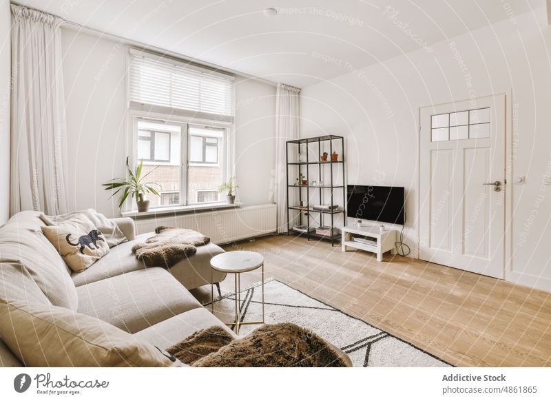 Gemütliches Wohnzimmer mit gemütlicher Couch und Regal in moderner Wohnung Innenbereich Sofa Appartement Komfort Stil Möbel wohnbedingt heimwärts geräumig