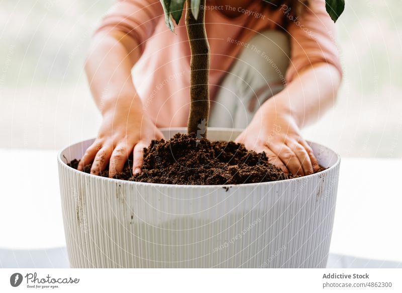 Mädchen gießt Erde in Blumentopf Kind Transplantation Boden Pflanze Gärtner eingießen kultivieren Pflege wachsen eingetopft Neuanlage Raum Flora botanisch