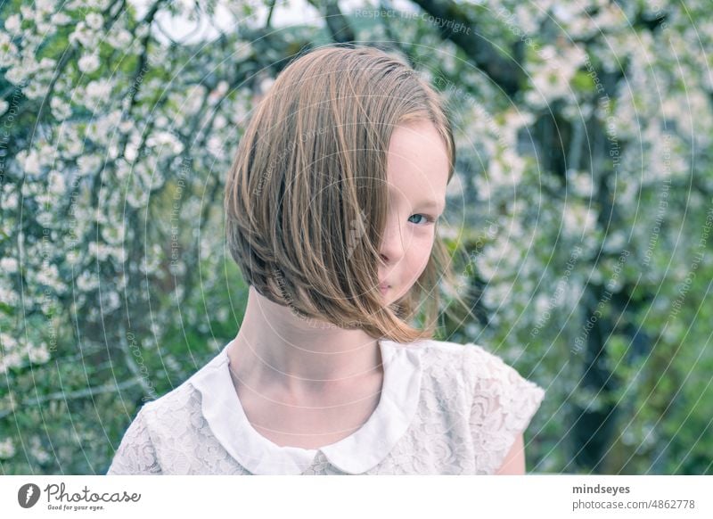 Junges Mädchen mit Kirschblüten Haare im Wind Haare & Frisuren Außenaufnahme Sommer Kirschbaum schüchtern Schüchternheit Natur Frühling Baum Duft Park Garten