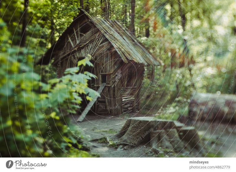 Verstecktes Hexenhaus Darmstadt Waldkunstpfad Hütte Haus versteckt magisch Märchen Sonnentrahlen Natur Landschaft Zauberei Phantasie natürlich Stimmung