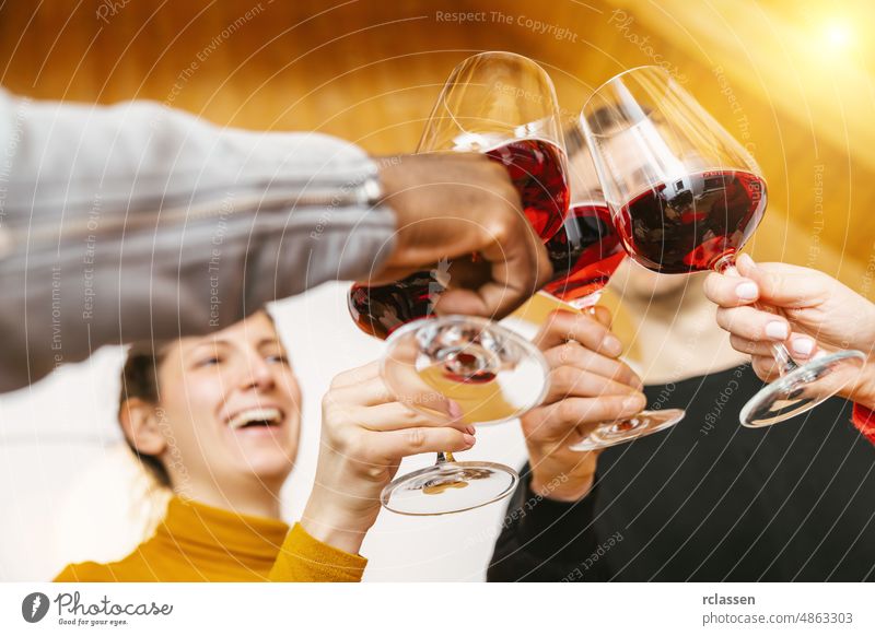 Freunde stoßen mit Rotweingläsern an und haben Spaß bei der Weinprobe - Junge Leute genießen die gemeinsame Zeit zu Hause - Jugend- und Freundschaftskonzept