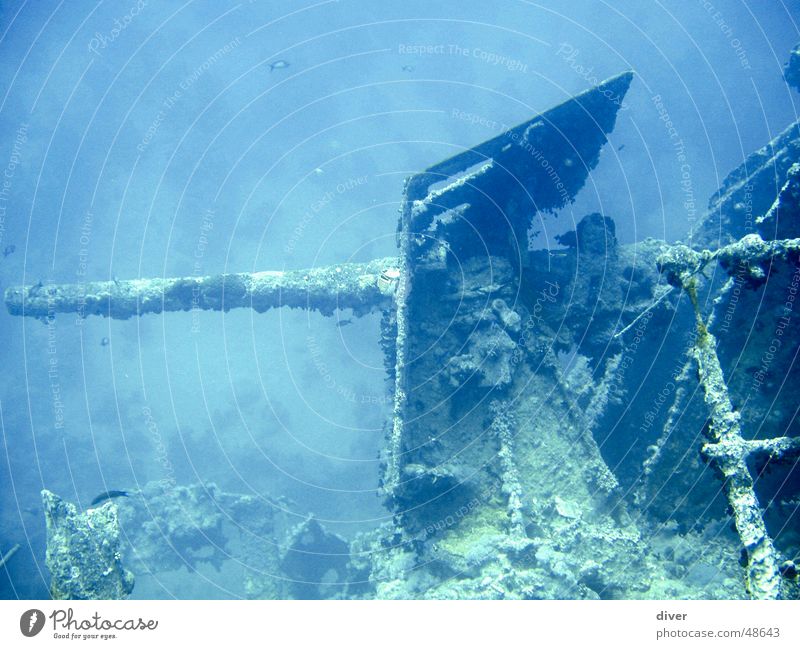 Bordgeschütz der Thistlegorm Kanonen Geschütz Wasserfahrzeug tauchen Marine Krieg Schiffswrack Unterwasseraufnahme Rotes Meer diving world war 2