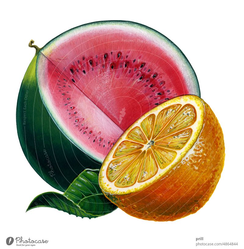 Wassermelone und Orange orange Grafik u. Illustration Malerei Kunstwerk Pinselmalerei Frucht halbiert gemalt Gouache frisch saftig Blatt grün reif Sauberkeit