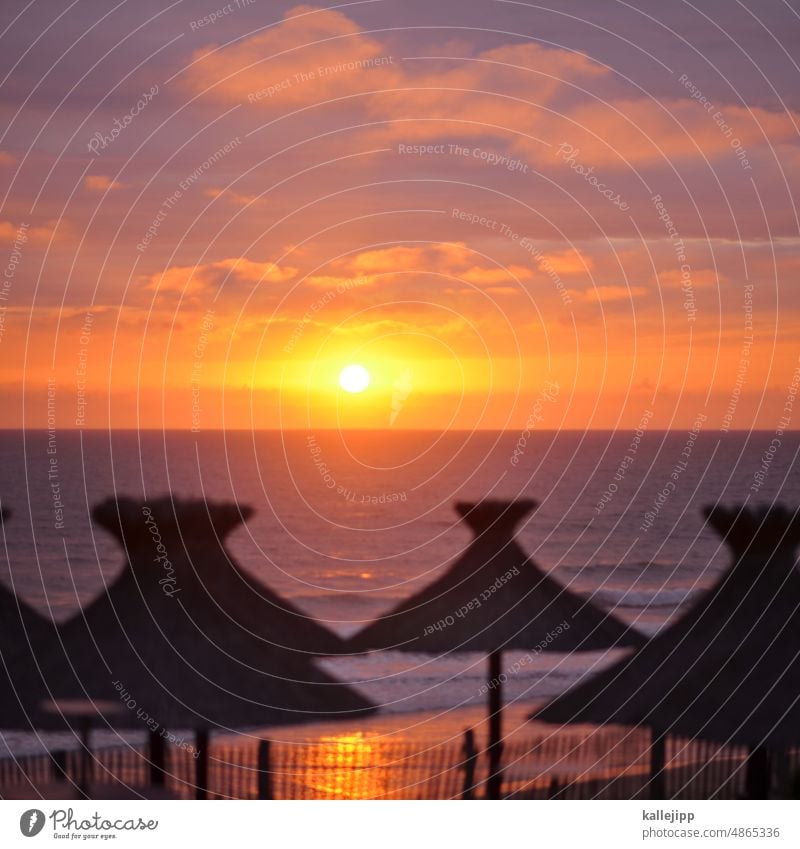 kitsch to go Sonnenuntergang Sonnenschirme Strohmatte Palmendach Schirm Horizont Meer Urlaub Sommer Ferien & Urlaub & Reisen Tourismus Außenaufnahme Erholung