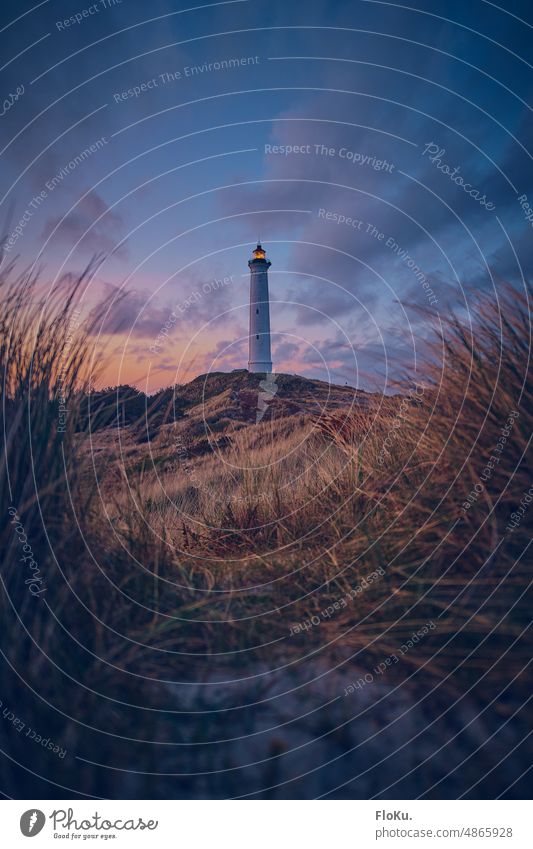 Leuchtturm Lyngvig Fyr durch die Dühnen gesehen Dänemark Nordsee Außenaufnahme Farbfoto Küste Düne Landschaft Meer Ferien & Urlaub & Reisen Menschenleer Himmel