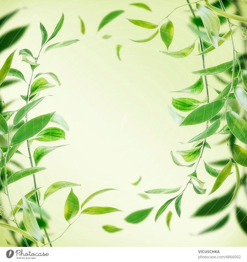 Natur Hintergrund Rahmen mit Bambuszweigen und grünen Blättern im Hintergrund Naturhintergrund Textfreiraum Vorderansicht Ast Einfluss Flora geblümt Garten