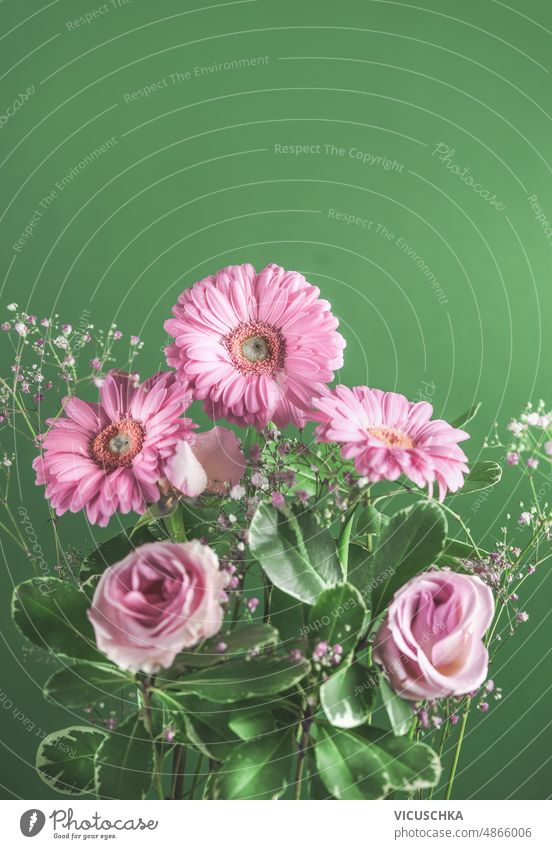 Schöner Blumenstrauß mit rosa Gerbera-Blüten auf grünem Hintergrund. schön romantisch Haufen Vorderansicht Textfreiraum Geburtstag Blütezeit farbenfroh Tag