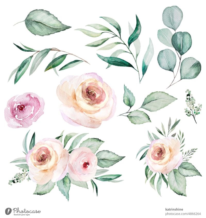 Aquarell hellrosa Blumen und Blätter Bouquet und einzelne Elemente, Illustration Set botanisch Dekoration & Verzierung Zeichnung Garten handgezeichnet