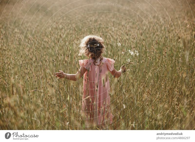kleines mädchen in einem weizenfeld. kleines mädchen mit einem weizenstrauß im sonnenlicht. aufnahme im freien Mädchen Weizen im Freien Opa Sonnenlicht