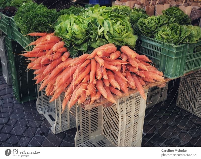 Frische Karotten und Salat am Marktstand Vitamine Gemüse Lebensmittel frisch Gesundheit Ernährung Vegetarische Ernährung Bioprodukte Farbfoto lecker Diät