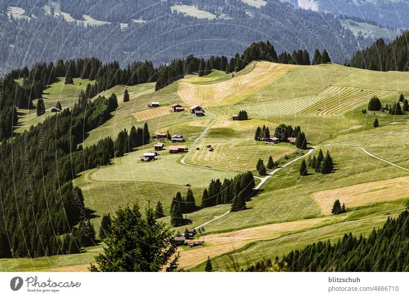 Alpwirtschaft in den schweizer Alpen Berge schweizerberge Berge u. Gebirge maiensäss alpen Schweiz wandern Sommer Wiese Landschaft Natur Alpsommer Suisse