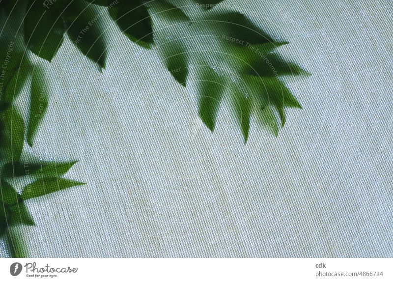 einen grünen Rahmen geben | Blätter auf Stoff | grünes Blattwerk II Pflanze Abdruck Berührung Kontakt Struktur Stoffstruktur Sonnensegel Kirschbaum hell dunkel