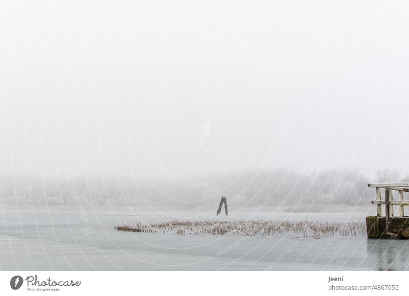 Schnee, Eis und Raureif auf dem See eingefangen beim Winterkanufahren Frost kalt Seeufer Idylle Winterstimmung Wintersport Kanu Kanutour Natur Naturerlebnis
