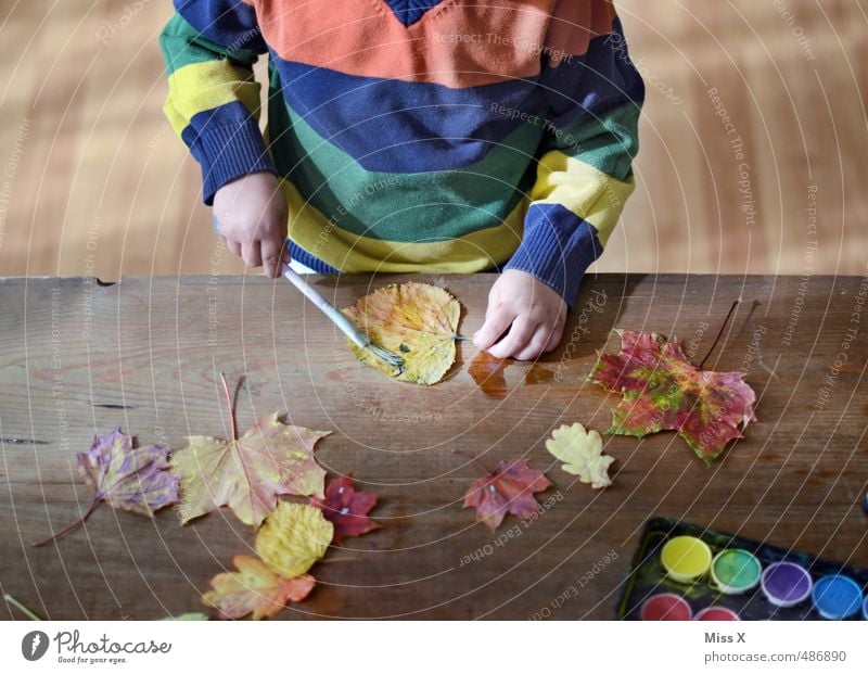 Herbstspaß Freizeit & Hobby Spielen Basteln Kinderspiel Mensch Kleinkind Kindheit 1 1-3 Jahre 3-8 Jahre Blatt mehrfarbig Gefühle Stimmung Freude Farbe