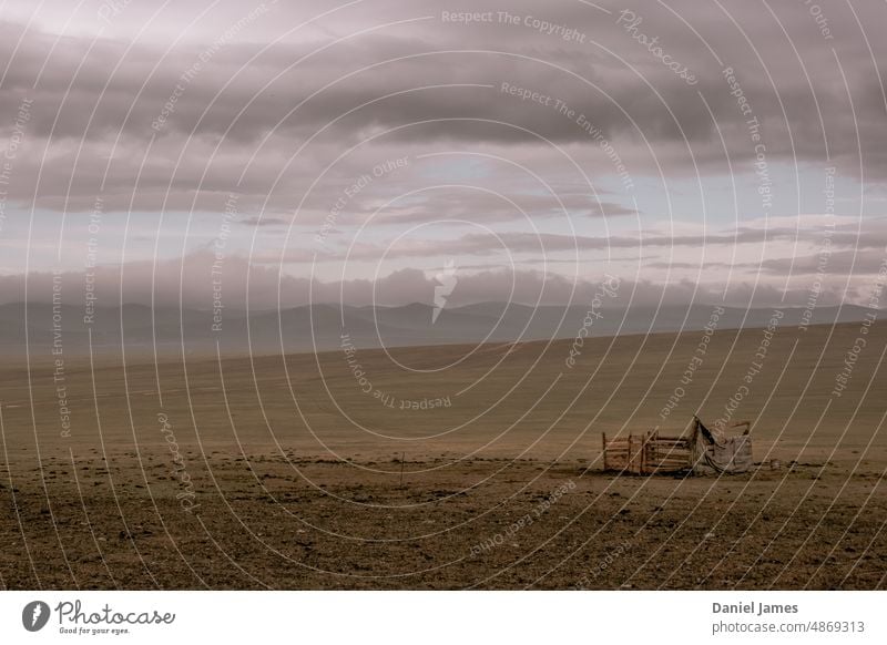 Blick über eine bewölkte mongolische Steppe Mongolei Grasland vereinzelt im Freien Landschaft Gelände Natur Sonnenlicht Außenaufnahme Tag Asien