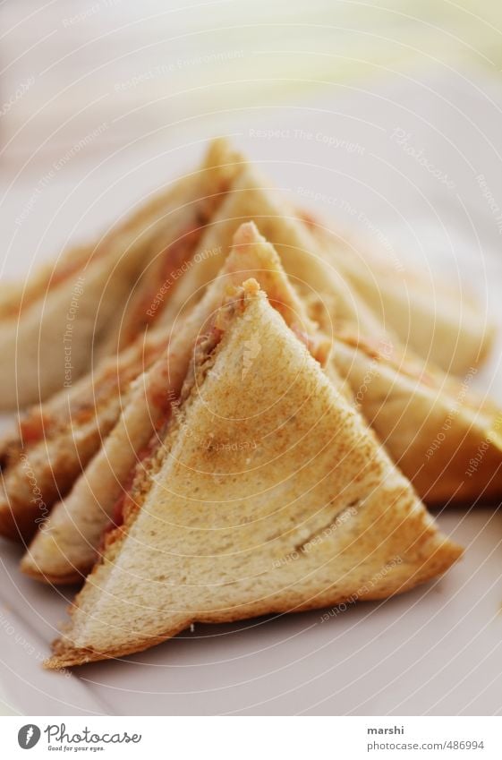 Tuna Toast Lebensmittel Brot Ernährung Essen Fingerfood braun Toastbrot getoastet Snack Thunfisch belegt Farbfoto Detailaufnahme