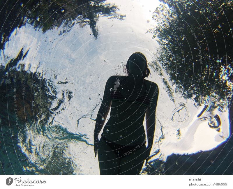 Fischperspektive Freizeit & Hobby Sport Wassersport Mensch feminin Junge Frau Jugendliche Erwachsene Körper 1 30-45 Jahre Schwimmen & Baden dunkel Meer