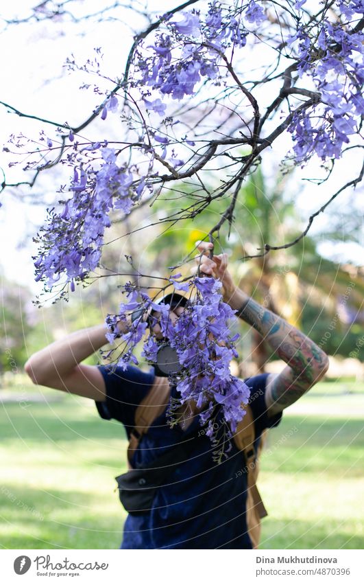 Fotograf versteckt sich hinter blühendem Jacaranda-Baum und macht Fotos. Fotograf fotografiert den Frühling. Lila Blumen auf dem Baum. tausendjährig schön