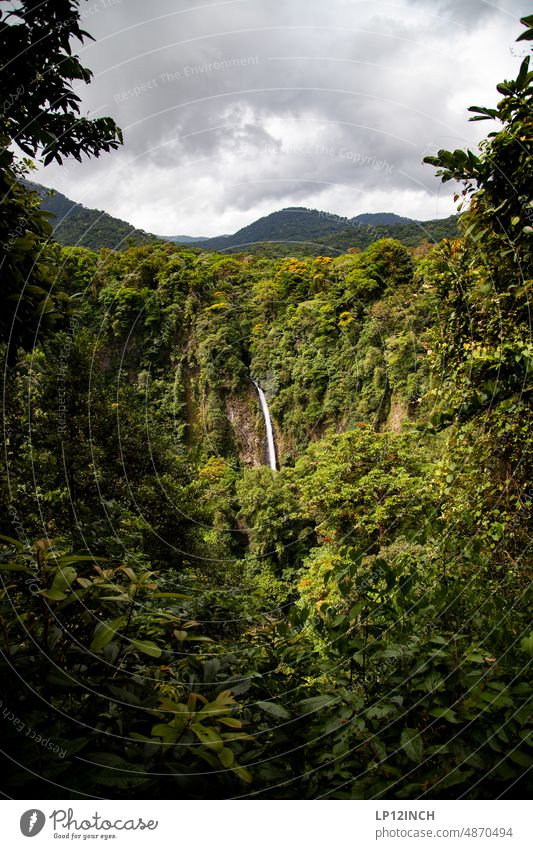 CR XVIII. Catarata Río Fortuna Wasserfall Costa Rica la fortuna Sehenswürdigkeit Tourismus Ferien & Urlaub & Reisen fantastisch Außenaufnahme Natur Ferne