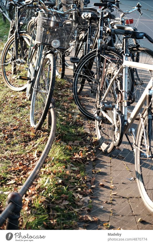 Wild geparkte Fahrräder der Studenten im Herbst auf Bürgersteig und Grünstreifen bei Sonnenschein am Aasee in Münster in Westfalen im Münsterland