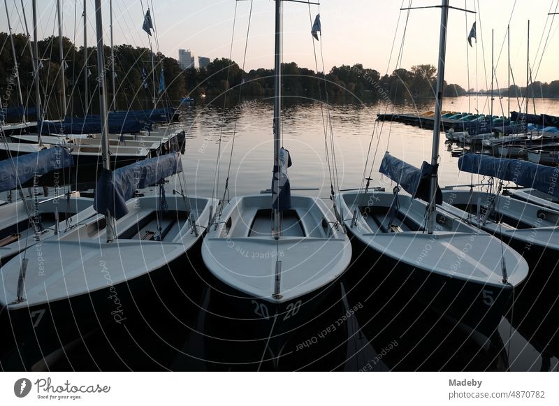 Masten und Takelage der Segelboote und Jollen am Abend im Licht der untergehenden Sonne beim Bootsverleih am Aasee im Sommer in Münster in Westfalen Wassersport
