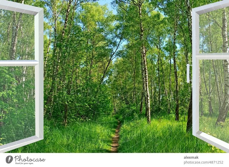 Panoramafenster mit Blick auf einen Pfad im Wald. Der Frühling ist da Fenster aufgeklappt Rahmen panoramisch Weg kommen grün schön Natur laufen Saison heimwärts