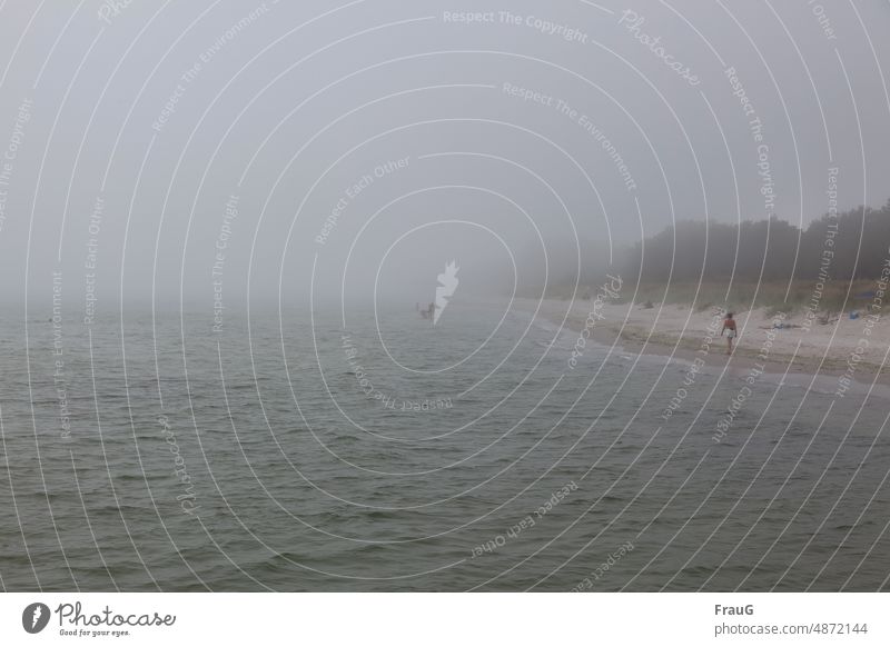 seltsam | Nebel im Sommer am Meer Ostsee Küste Strand Sandstrand Wellen Bäume Sommerurlaub Ferien & Urlaub & Reisen Menschen Schwimmen & Baden laufen Erholung