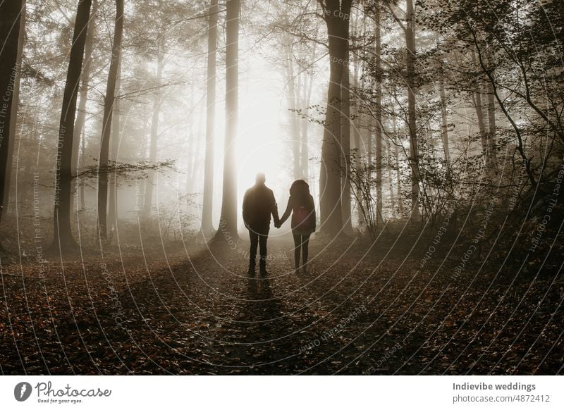 Eine Silhouette eines Paares, das an einem nebligen Morgen im Wald steht und die Hand des anderen hält. Nebliger Morgen im Wald. Lange Schatten. Außerirdische Landungsszenerie. Sonnenaufgang durch die Bäume.