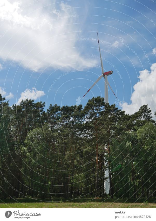 gelebte Integration im Wald Windrad Windkraftanlage Forstwirtschaft Erneuerbare Energie Energiewirtschaft Elektrizität Rotor Ressource Klimawandel Windenergie