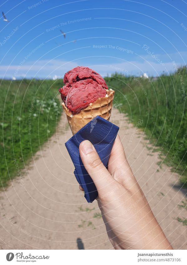 Himbeereis in Waffel in Hand im Park Eis Sommer Speiseeis Essen Dessert lecker süß Lebensmittel Geschmack Eiscreme