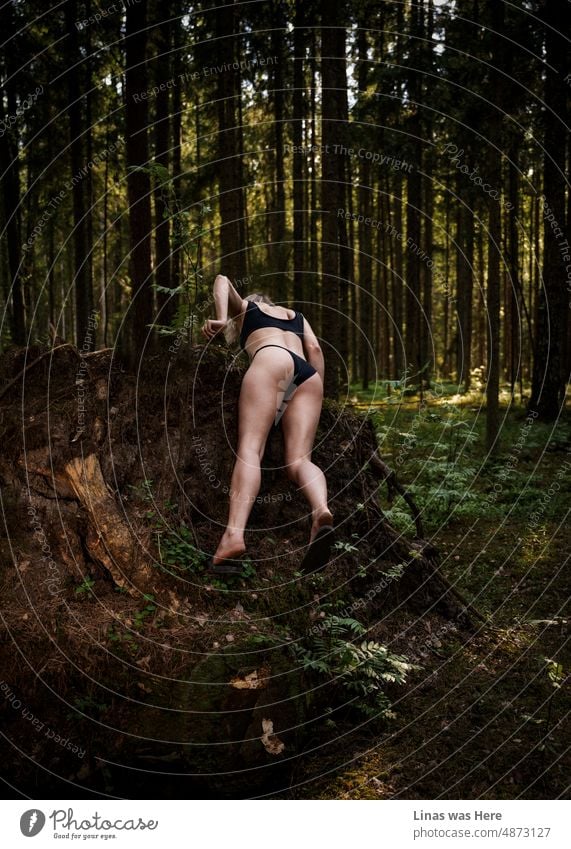 Diese wilden Wälder werden von wilden Mädchen durchstreift, mit wunderschönen langen Beinen und sexy Rückseiten. Sommerzeit, und alles scheint so einfach und ein erfrischender Tag in einem Wald mit ein wenig Kleidung auf ist ein Muss.