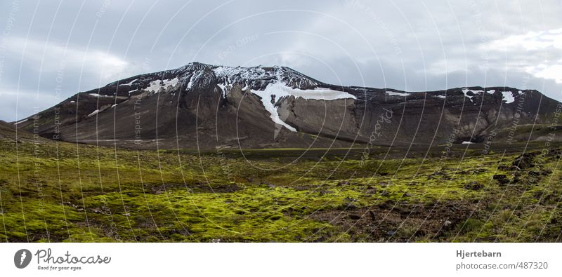 Moos wandern Umwelt Natur Landschaft Pflanze Himmel Wolken Herbst Felsen Berge u. Gebirge Schneebedeckte Gipfel Insel Island atmen frieren genießen ästhetisch