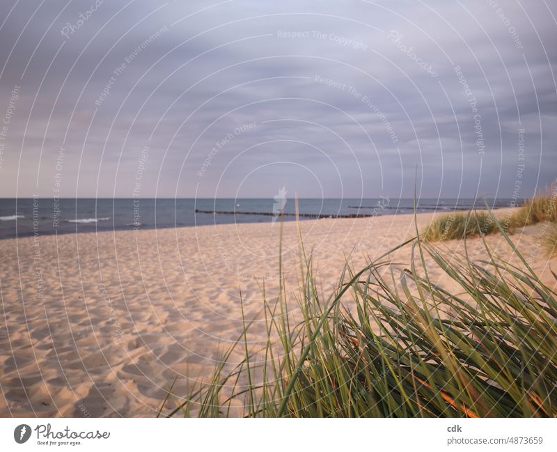 Sand & Meer | Ostsee | Ruhe, Stille & Weite genießen. Sandstrand Küste Ostseeküste Dünengras Abendlicht Himmel natürlich Natur Umwelt Ferien & Urlaub & Reisen