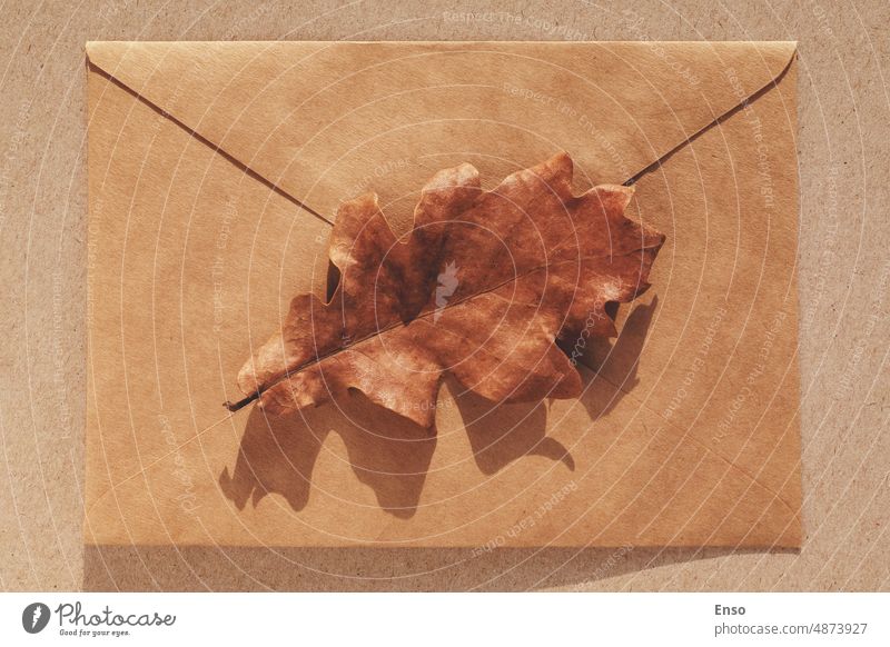 Eichenblatt auf braunem Papier Umschlag, minimal Herbst Hintergrund, Herbst flach legen Kuvert Nachricht fallen flache Verlegung sehr wenige minimalistisch