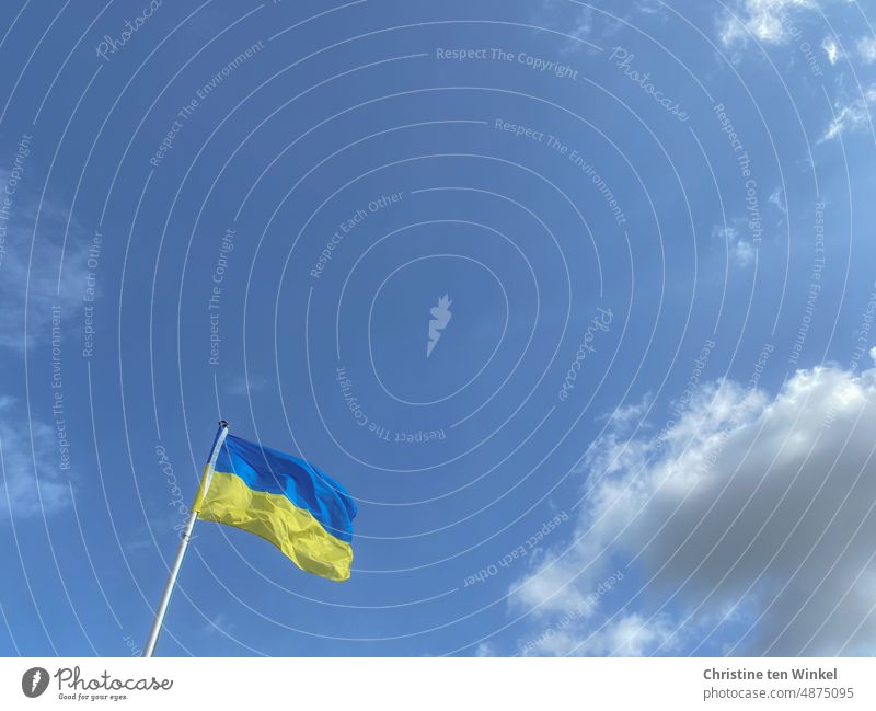 Die Nationalflagge der Ukraine weht vor leicht bewölktem Himmel ukrainische farben blau-gelb Frieden Fahne Flaggen ukrainische Flagge Freiheit ukraine flagge