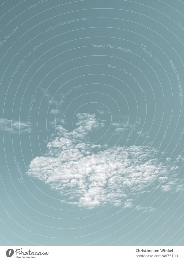 Wölkchen am Himmel Wolke himmelblau Wolkenhimmel wetter weiß Schönes Wetter Textfreiraum oben Textfreiraum unten Schönwetterwolken Natur