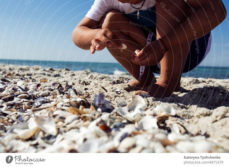 Junge sammelt Muscheln am Strand. Kind spielt in der Nähe des Meeres im Urlaub aktiv Aktivität schön blau heiter Kindheit Küste Tag Familie Frau Freiheit Spaß