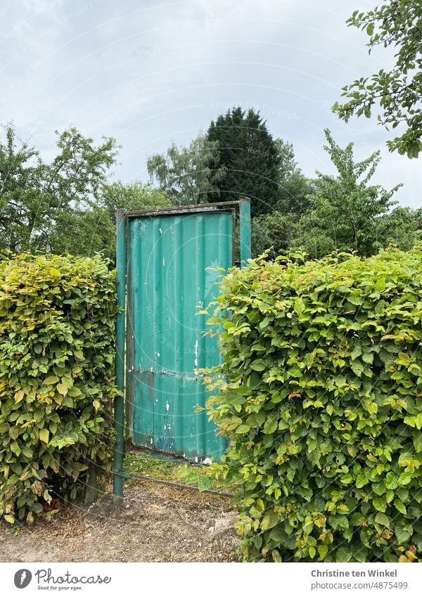 Ein altes und verrostetes grünes Gartentor versperrt den Zugang zum Garten Tor Hecke Eingang Durchgang geschlossen altes Gartentor Bäume Barriere Sicherheit Tür