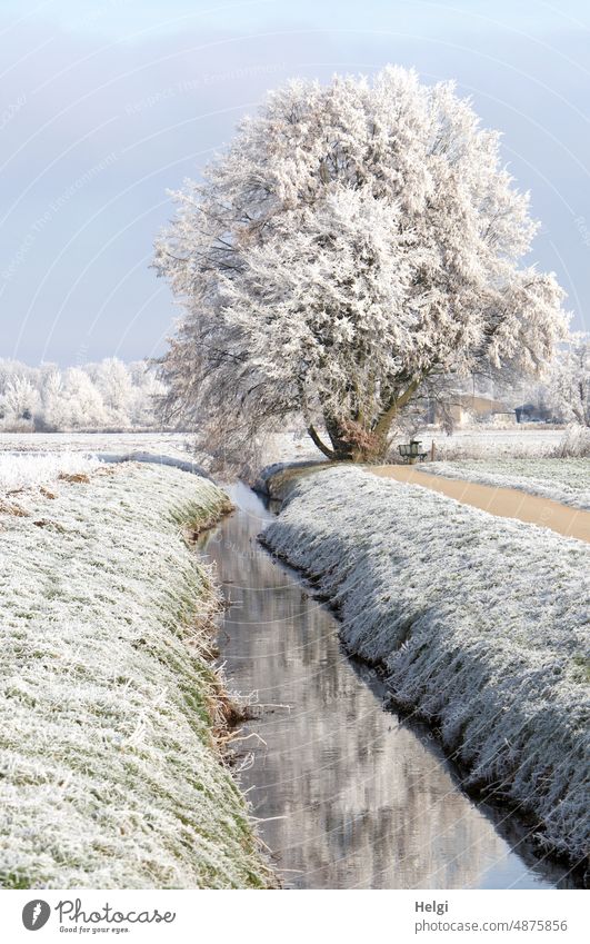Winterwonderland - mit Raureif bedeckte Winterlandschaft, ein Baum steht am Bach zwischen Wiesen und Feldern Wínter Kälte Frost Idylle Weg Himmel frostig kalt