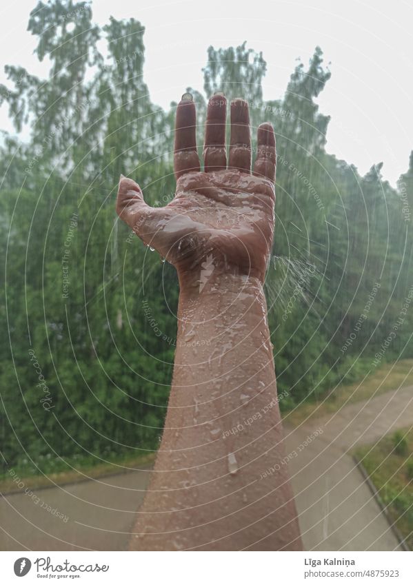 Hand im Regen Finger Handfläche Frau minimalistisch Körperteil Hände Handgelenk Mensch Arme sehr wenige Entwurf nass Regentropfen