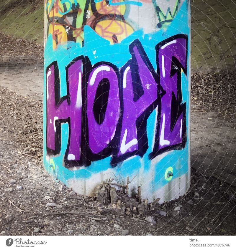 Hoffnung auf Beton Grafitti Betonpfeiler Stütze Brücke Unterführung Botschaft Information Mitteilung Sprühfarbe lila Hope Buchstaben Text Steine Herbstlaub