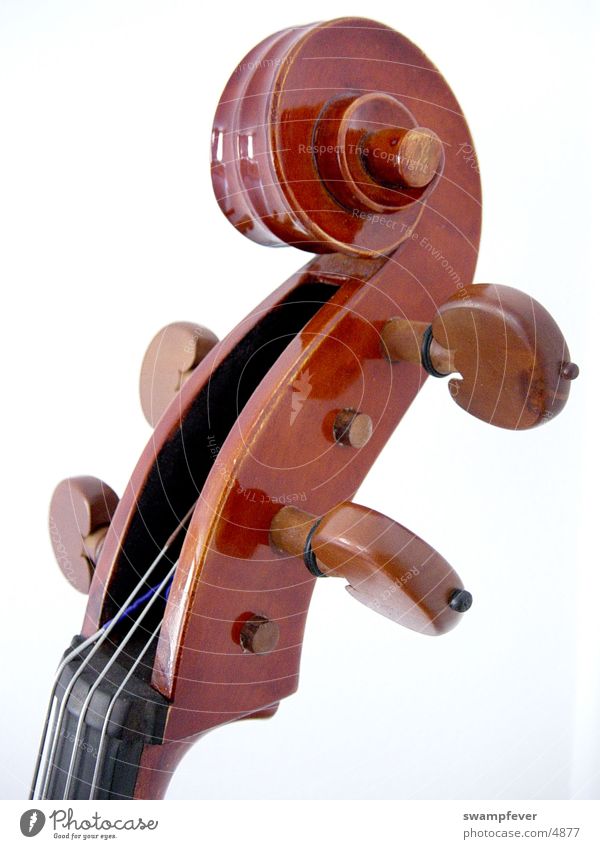 Wirbel Holz Saite Musikinstrument Cello Freizeit & Hobby violoncello grobstimmer musical instrument tuning up attuning vertebra wooden strings