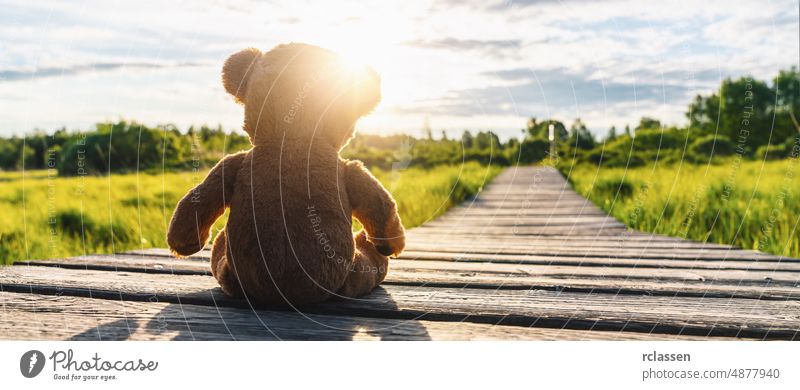Teddybär auf einem Weg in die Sonne sitzend... Platz für Ihren individuellen Text. Bär Kind Baby Hintergrund einsam verirrt Sonnenlicht altehrwürdig Glück