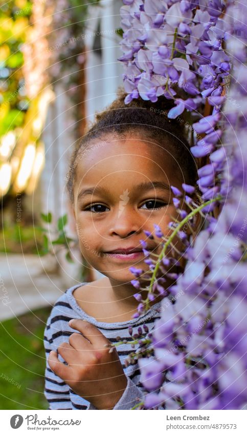 Kleinkind Mädchen gemischter Rasse mit lockigem Haar posiert zwischen lila Glyzinien Blumen purpur Frühling Sommer grün Pflanze Porträt Schönheit Lächeln