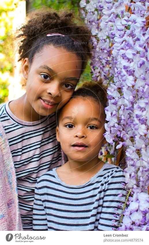 Teenager und Kleinkind Mädchen gemischter Rasse (Schwestern Geschwister) mit lockigem Haar posiert in zwischen lila Glyzinien Blumen Porträt grün Pflanze
