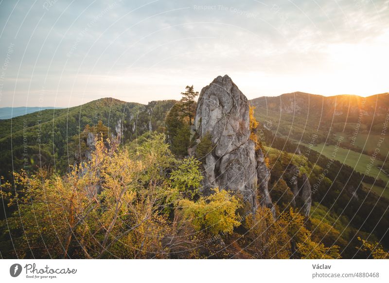 Sonnenaufgang an den Sulov-Felsen in der Ostslowakei. Raue, unberührte Landschaft mit Felsen in orangefarbenem Licht panoramisch Berge u. Gebirge Szene Holz