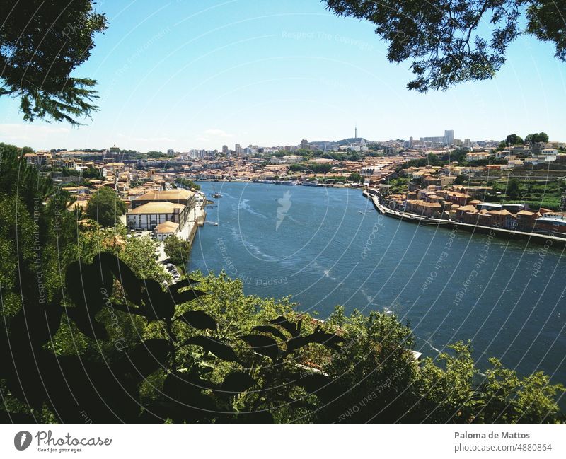 Portugal Natur Porto Europa reisen Portugiesisch Tourismus Großstadt Architektur Wahrzeichen historisch Stadt Landschaft Douro Stadtzentrum Europäer Fluss