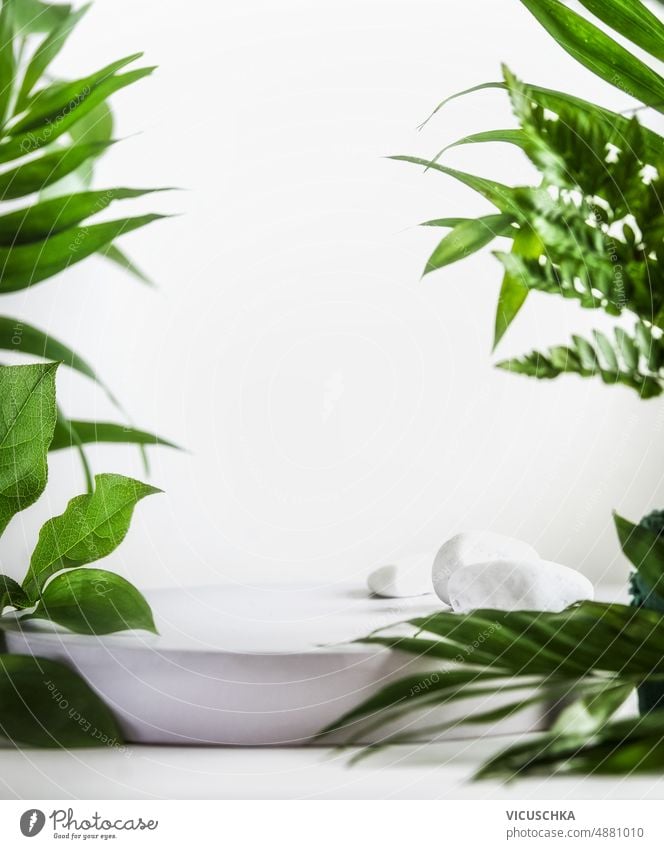 Podiumsdisplay für Produktplatzierung auf weißem Hintergrund mit tropischen grünen Blättern. Anzeige Platzierung weißer Hintergrund grüne Blätter Merchandise