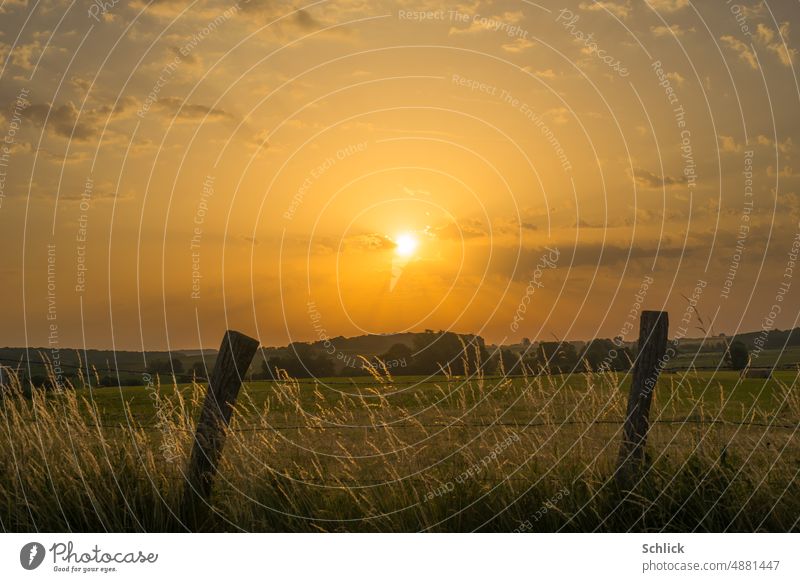 Sonnenaufgang in Lothringen mit Stacheldrahtzaun und Gras im Vordergrund. Weiden Himmel Sonnenstrahlen Wärme gelb orange Farbfoto Landschaft Sonnenlicht Natur